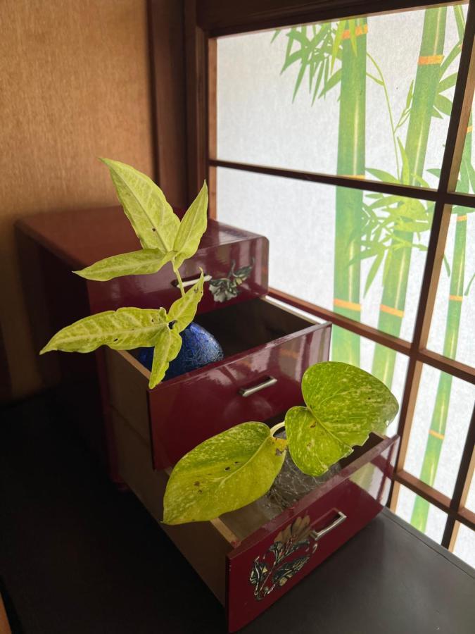 ゆい屋 Villa Ishigaki  Ngoại thất bức ảnh